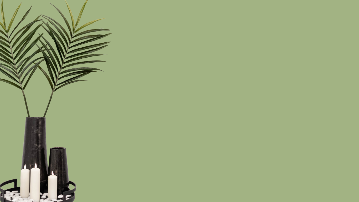Green palm leaf background for Well Infused terms and conditions page