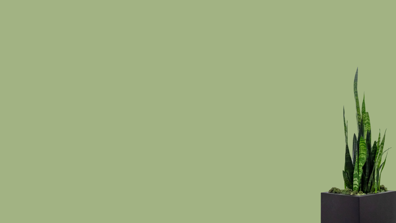 Well Infused location selection background with wellness plant decor