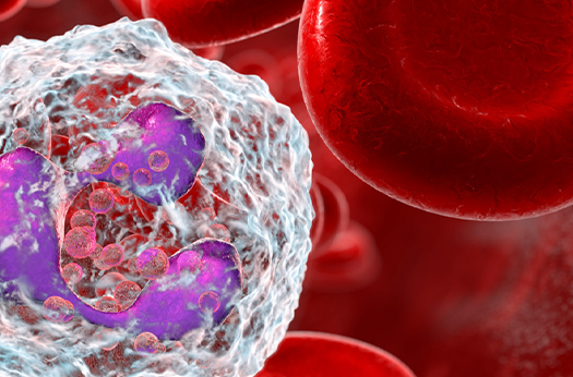 Immune cell image representing immune and inflammatory markers