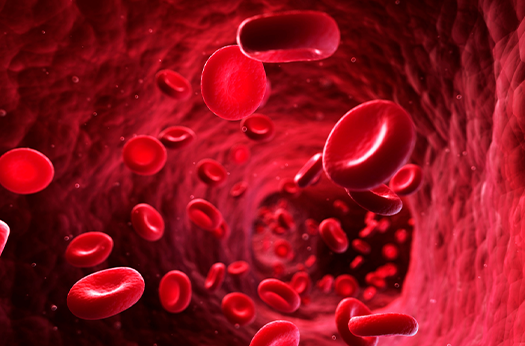 Red blood cells representing energy and fuel biomarkers in functional lab testing
