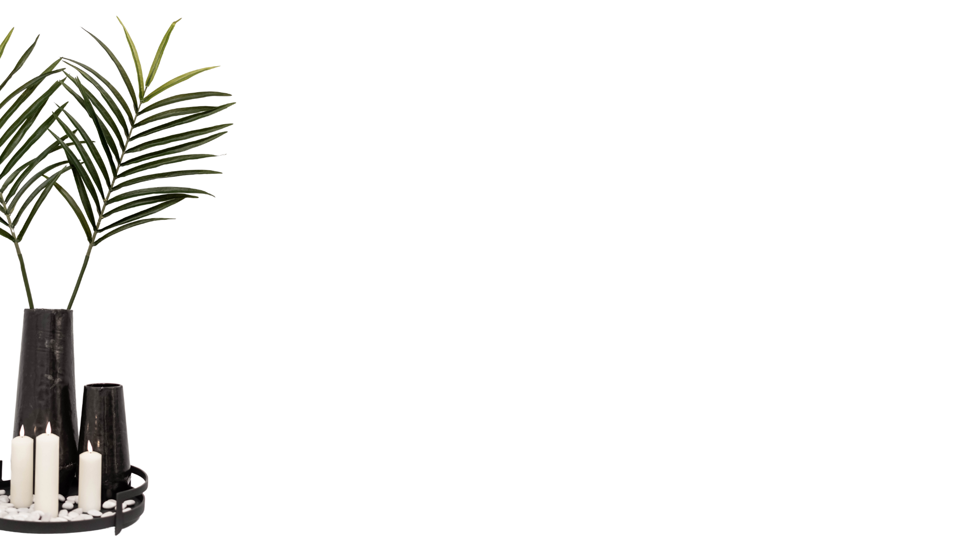 Decorative plant display for regenerative medicine event invitation section